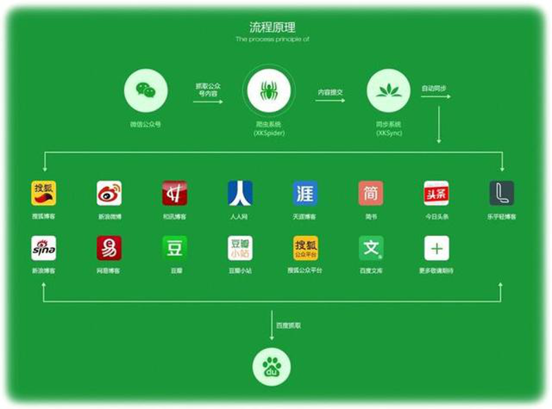 新媒体运营:从信息孤岛到流量盛宴